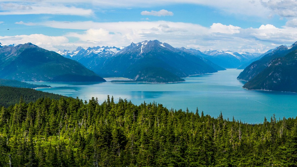 Everything You Need to Know Before Booking an Alaska&nbsp;Cruise